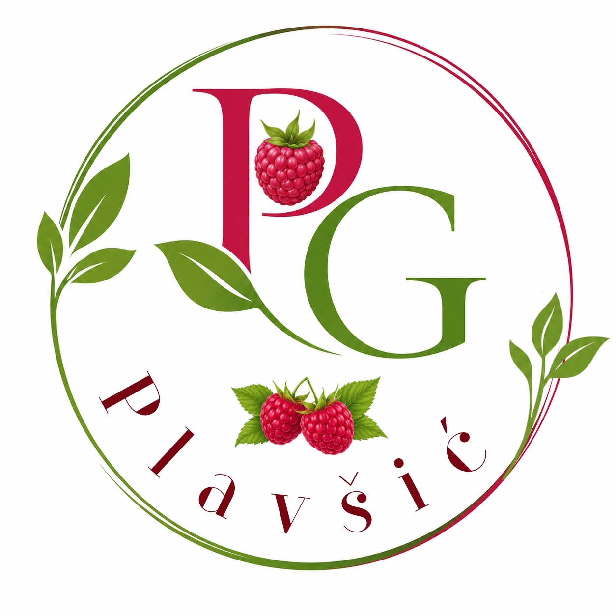 PG Plavšić